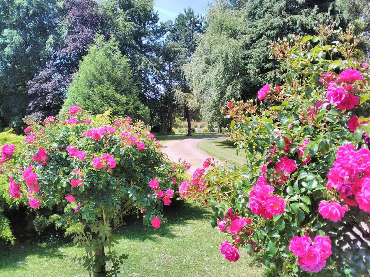 Normandy Vip Villa Trevieres ภายนอก รูปภาพ